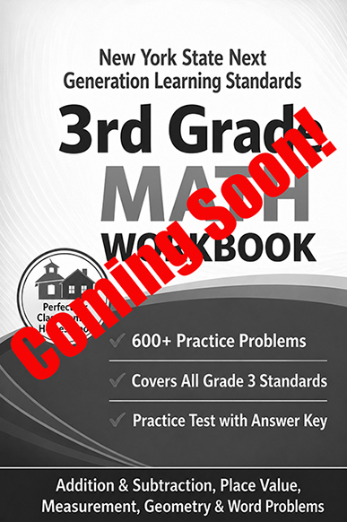 New York 3rd Grade Workbook